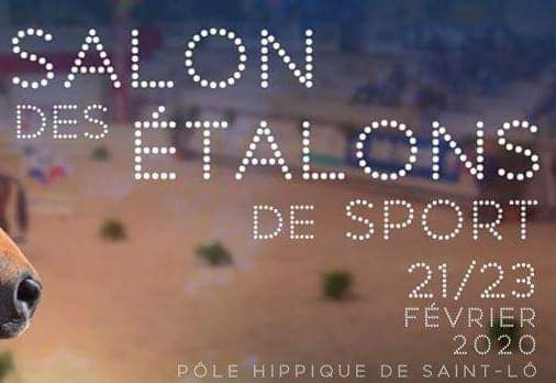 salon_etalon_saintlo_2020