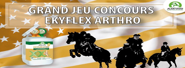 EKYFLEX ARTHRO GOLD AUDEVARD JEU-CONOURS